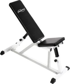 Physionics - Verstelbare Halterbank - Buiktrainer - Fitnessbank - Antislip - Staal - Trainingsapparaat -FitForce Outlet Winkel 1000x1200