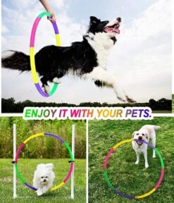 Borvat® | Hoelahoep For Kids - Afneembaar - Verstelbaar Gewicht - Meisjes En Jongens - Fitness - Dierentraining -FitForce Outlet Winkel 1029x1200 5