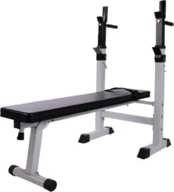 Physionics - Halterbank - Dips Bank - Bankdruk - Buiktrainer - Rugtrainer - Gewicht Heffen - Antislip - Verstelbaar -FitForce Outlet Winkel 1087x1200 1
