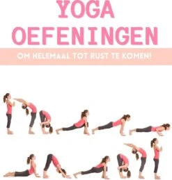 Focus Fitness – Yoga Mat Roze Met Print – Sport Mat 173 X 61 X 0.5 Cm – Fitness Mat 15 Focus Fitness – Yoga Mat Roze Met Print – Sport Mat 173 X 61 X 0.5 Cm – Fitness Mat -FitForce Outlet Winkel 1144x1200 2