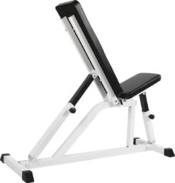 Physionics - Verstelbare Halterbank - Buiktrainer - Fitnessbank - Antislip - Staal - Trainingsapparaat -FitForce Outlet Winkel 1149x1200