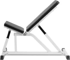 Physionics - Verstelbare Halterbank - Buiktrainer - Fitnessbank - Antislip - Staal - Trainingsapparaat -FitForce Outlet Winkel 1200x1028 2