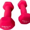 Db SKILLS 1KG Dumbbell Set Van 2 Stuks - Gewichten - Fitness - Sport