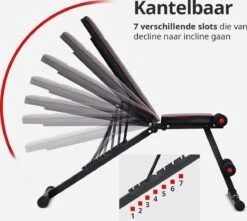 EchoGoods Halterbank - Inclusief Gratis Weerstandbanden En E-book - Fitnessbank - Bench Press - Trainingsbank - Halterbank Verstelbaar - Halterbank Opklapbaar - Rugsteun - Halterbank Gemonteerd + GRATIS E-book -FitForce Outlet Winkel 1200x1073