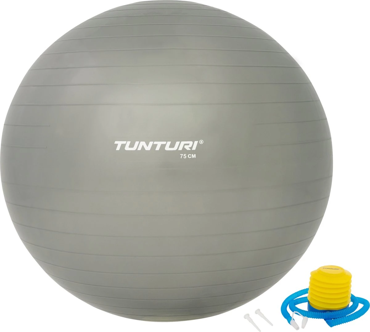 Tunturi Fitness Bal - Yoga Bal Inclusief Pomp - Pilates Bal - Zwangerschaps Bal - 75 Cm - Kleur: Zilver - Incl. Gratis Fitness App 1 Tunturi Fitness Bal - Yoga Bal Inclusief Pomp - Pilates Bal - Zwangerschaps Bal - 75 Cm - Kleur: Zilver - Incl. Gratis Fitness App