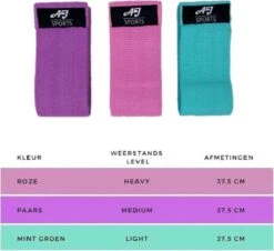 AJ-Sports Weerstandsbanden - Booty Band - Resistance Band - Fitness Elastiek - Paars/Roze/Cyaan - Set Van 3 Weerstandsbanden - Resistance Band - Fitness Band - Workout - Fitness - Inclusief Handleiding En Draagtas -FitForce Outlet Winkel 1200x1096 3