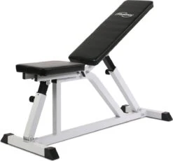 Physionics - Verstelbare Halterbank - Buiktrainer - Fitnessbank - Antislip - Staal - Trainingsapparaat -FitForce Outlet Winkel 1200x1115