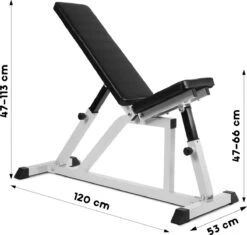 Physionics - Verstelbare Halterbank - Buiktrainer - Fitnessbank - Antislip - Staal - Trainingsapparaat -FitForce Outlet Winkel 1200x1141 5