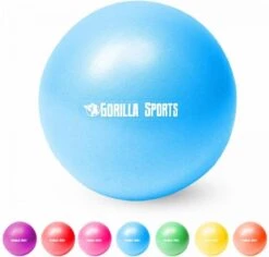 Gorilla Sports Mini Pilates Bal - 18 Cm - Blauw