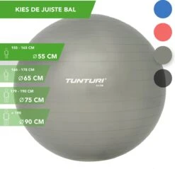 Tunturi Fitness Bal - Yoga Bal Inclusief Pomp - Pilates Bal - Zwangerschaps Bal - 55 Cm - Kleur: Zilver - Incl. Gratis Fitness App 7 Tunturi Fitness Bal - Yoga Bal Inclusief Pomp - Pilates Bal - Zwangerschaps Bal - 55 Cm - Kleur: Zilver - Incl. Gratis Fitness App -FitForce Outlet Winkel 1200x1159 7