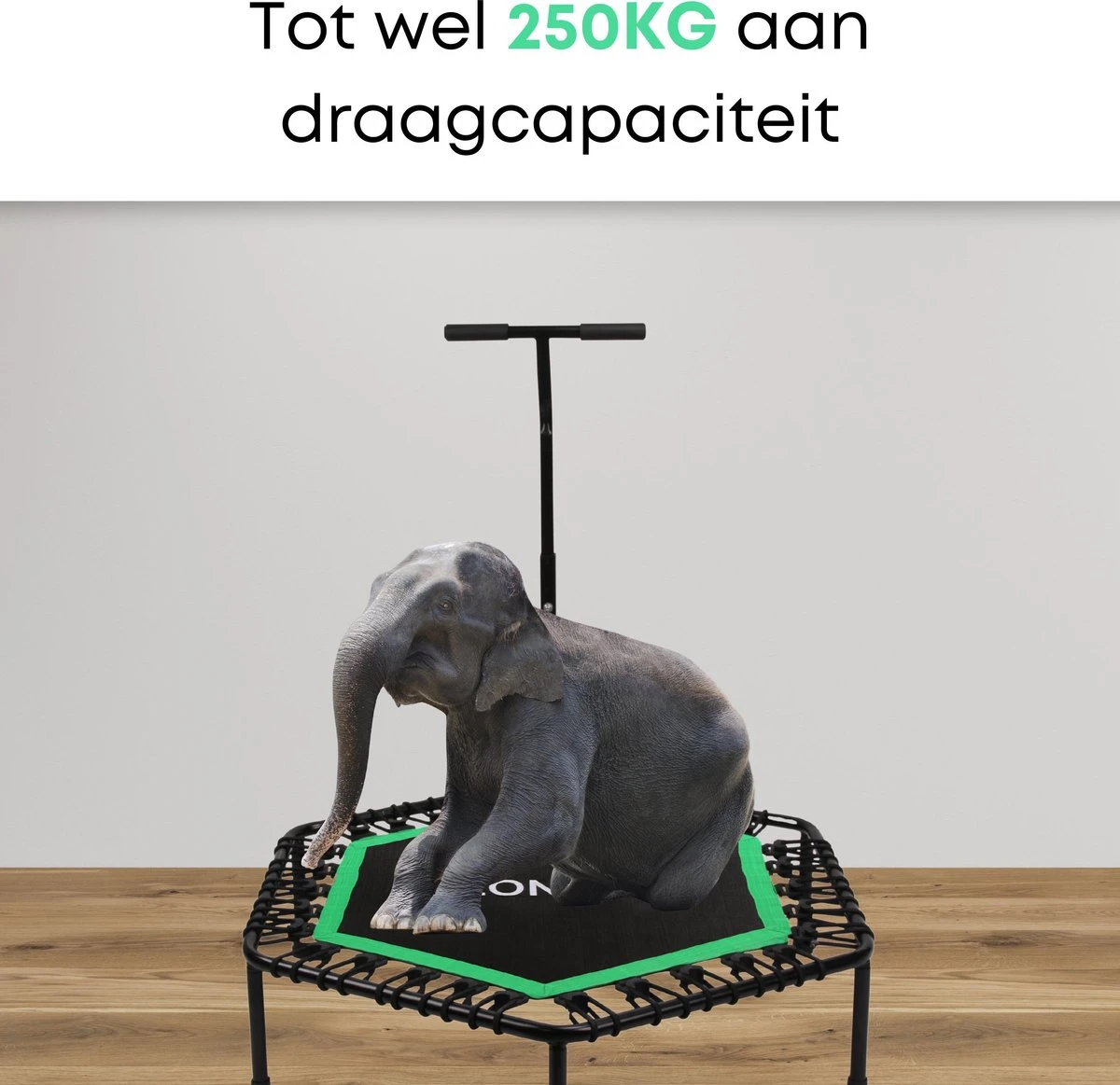 Zonovi Fitness Trampoline 250 Kilo – Mini Trampoline – Kleine Trampoline – Sport Trampoline – Met Elastieken – Zwart – Groen – 106 Cm – 42 Inch. 4 Zonovi Fitness Trampoline 250 Kilo – Mini Trampoline – Kleine Trampoline – Sport Trampoline – Met Elastieken – Zwart – Groen – 106 Cm – 42 Inch. - Afbeelding 4