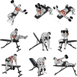 EchoGoods Halterbank - Inclusief Gratis Weerstandbanden En E-book - Fitnessbank - Bench Press - Trainingsbank - Halterbank Verstelbaar - Halterbank Opklapbaar - Rugsteun - Halterbank Gemonteerd + GRATIS E-book -FitForce Outlet Winkel 1200x1197 4