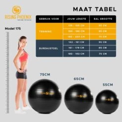 RP® Fitness Bal Yoga Zitbal Fitnessbal Gymbal Pilates Yogabal Balansbal - Tas, Steunring & Resistance Bands - Handpomp & Ebook -FitForce Outlet Winkel 1200x1198 24