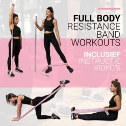 FITELASTIX® Premium Weerstandsband Lang - Voor Elk Niveau - Alles In 1 - Full Body - Resistance Band - Fitness Elastiek - Sport Elastiek Fitness - Met Handvatten - Inclusief Instructievideo's - Roze -FitForce Outlet Winkel 1200x1199 15