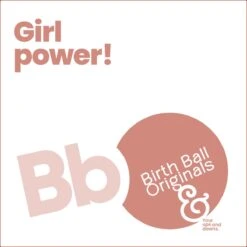 Birth Ball Originals – Zwangerschapsbal – Ergonomische Yoga Bal – Incl. Roze Wasbare Hoes – Incl. Pomp – 65 CM Hoog -FitForce Outlet Winkel 1200x1200 1132