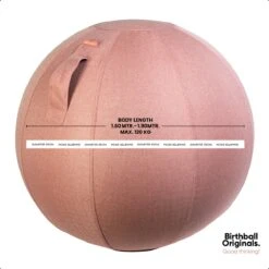 Birth Ball Originals – Zwangerschapsbal – Ergonomische Yoga Bal – Incl. Roze Wasbare Hoes – Incl. Pomp – 65 CM Hoog -FitForce Outlet Winkel 1200x1200 1135