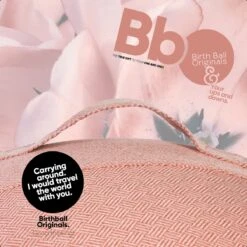 Birth Ball Originals – Zwangerschapsbal – Ergonomische Yoga Bal – Incl. Roze Wasbare Hoes – Incl. Pomp – 65 CM Hoog -FitForce Outlet Winkel 1200x1200 1137