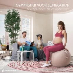 Sportstech Fitnessbal - Zitbal - Ergnomisch Voor Yoga, Pilates, Zwangerschap & Homegym - YOBA100 10 Sportstech Fitnessbal - Zitbal - Ergnomisch Voor Yoga, Pilates, Zwangerschap & Homegym - YOBA100 -FitForce Outlet Winkel 1200x1200 1166
