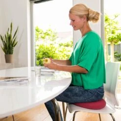 Wiebelkussen Rood 33 Cm - Voor Kinderen En Volwassenen - Trainingskussen - Balanskussen 10 Wiebelkussen Rood 33 Cm - Voor Kinderen En Volwassenen - Trainingskussen - Balanskussen -FitForce Outlet Winkel 1200x1200 1267