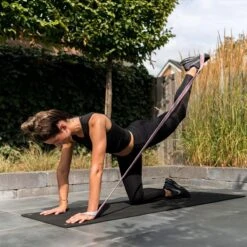 FITELASTIX® Premium Weerstandsband Lang - Voor Elk Niveau - Alles In 1 - Full Body - Resistance Band - Fitness Elastiek - Sport Elastiek Fitness - Met Handvatten - Inclusief Instructievideo's - Roze -FitForce Outlet Winkel 1200x1200 1453