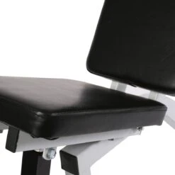 Physionics - Verstelbare Halterbank - Buiktrainer - Fitnessbank - Antislip - Staal - Trainingsapparaat -FitForce Outlet Winkel 1200x1200 315