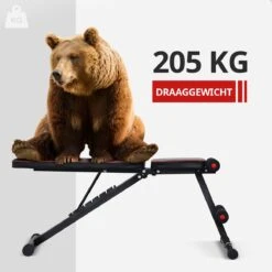 EchoGoods Halterbank - Inclusief Gratis Weerstandbanden En E-book - Fitnessbank - Bench Press - Trainingsbank - Halterbank Verstelbaar - Halterbank Opklapbaar - Rugsteun - Halterbank Gemonteerd + GRATIS E-book -FitForce Outlet Winkel 1200x1200 388