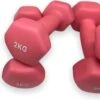 Dumbells - Neopreen Set 1, 2 En 3 Kg - Dumbellset - Halterset - Fitness Gewichten - Paars En Roze