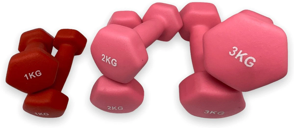 Dumbell Set 1, 2 En 3 Kg - Fitness - Gewicht - Set - 1 + 2 + 3 Kg - 2x1kg 2x2kg 2x3kg - Gewichtjes 1 Kg 1 Dumbell Set 1, 2 En 3 Kg - Fitness - Gewicht - Set - 1 + 2 + 3 Kg - 2x1kg 2x2kg 2x3kg - Gewichtjes 1 Kg