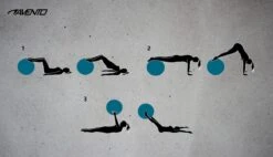 Avento Fitness/Gymbal - Ø 75 Cm - Zwart 16 Avento Fitness/Gymbal - Ø 75 Cm - Zwart -FitForce Outlet Winkel 1200x690 18