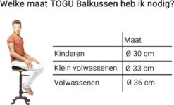 Togu Dynair Senso Balkussen/Wiebelkussen Ø 36 Cm - Volwassenen - Zwart -FitForce Outlet Winkel 1200x731 1