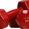Active Panther Dumbbell Set 2 X 6 KG - 12 Kg Totaal - Vinyl - Rood