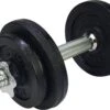 Tunturi Gewichten Gietijzer Totaal 10kg - Halterset Met Schroefsluiting - Dumbbell Set - 1 Halterstang - 30mm - Incl. Gratis Fitness App