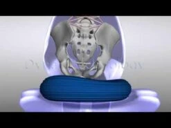 Togu Dynair Senso Balkussen/Wiebelkussen Ø 36 Cm - Volwassenen - Zwart -FitForce Outlet Winkel 1200x900 4