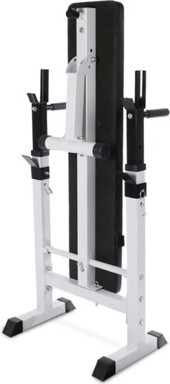 Physionics - Halterbank - Dips Bank - Bankdruk - Buiktrainer - Rugtrainer - Gewicht Heffen - Antislip - Verstelbaar -FitForce Outlet Winkel 531x1200