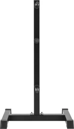 Gorilla Sports Schijvenstandaard Zwart 30/31 Mm - Gewichten Rek - Halterrek -FitForce Outlet Winkel 690x1200