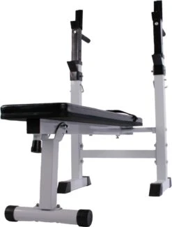 Physionics - Halterbank - Dips Bank - Bankdruk - Buiktrainer - Rugtrainer - Gewicht Heffen - Antislip - Verstelbaar -FitForce Outlet Winkel 911x1200