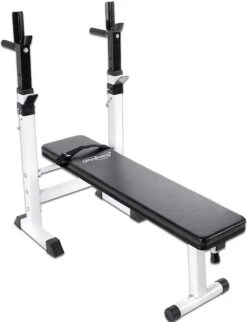Physionics - Halterbank - Dips Bank - Bankdruk - Buiktrainer - Rugtrainer - Gewicht Heffen - Antislip - Verstelbaar -FitForce Outlet Winkel 921x1200