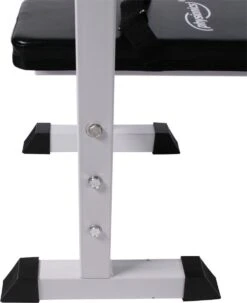 Physionics - Halterbank - Dips Bank - Bankdruk - Buiktrainer - Rugtrainer - Gewicht Heffen - Antislip - Verstelbaar -FitForce Outlet Winkel 979x1200